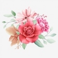 pngtree-cute-watercolor-flowers-arrangement-png-image_1659399